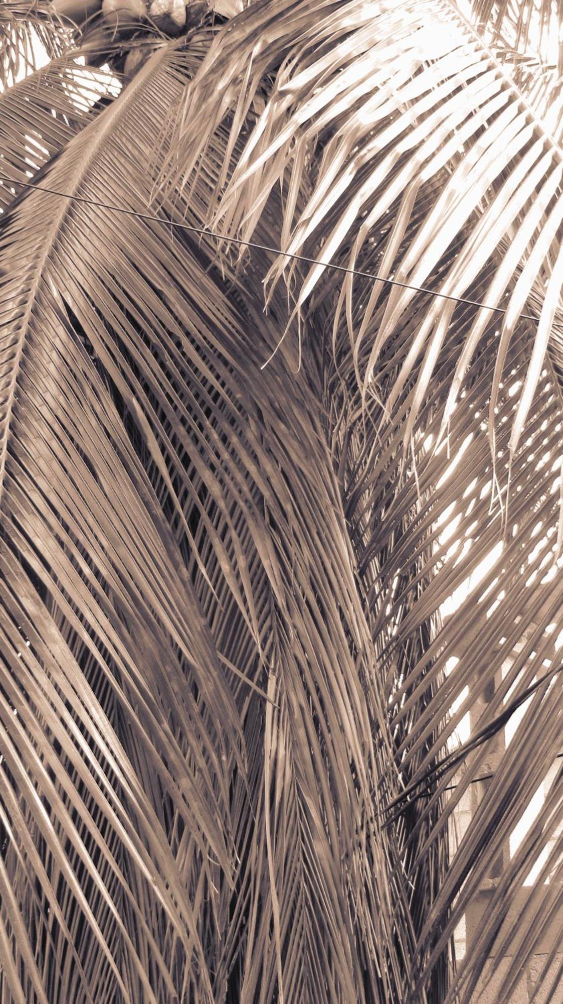 Cocos Apartment Cancún Exterior foto