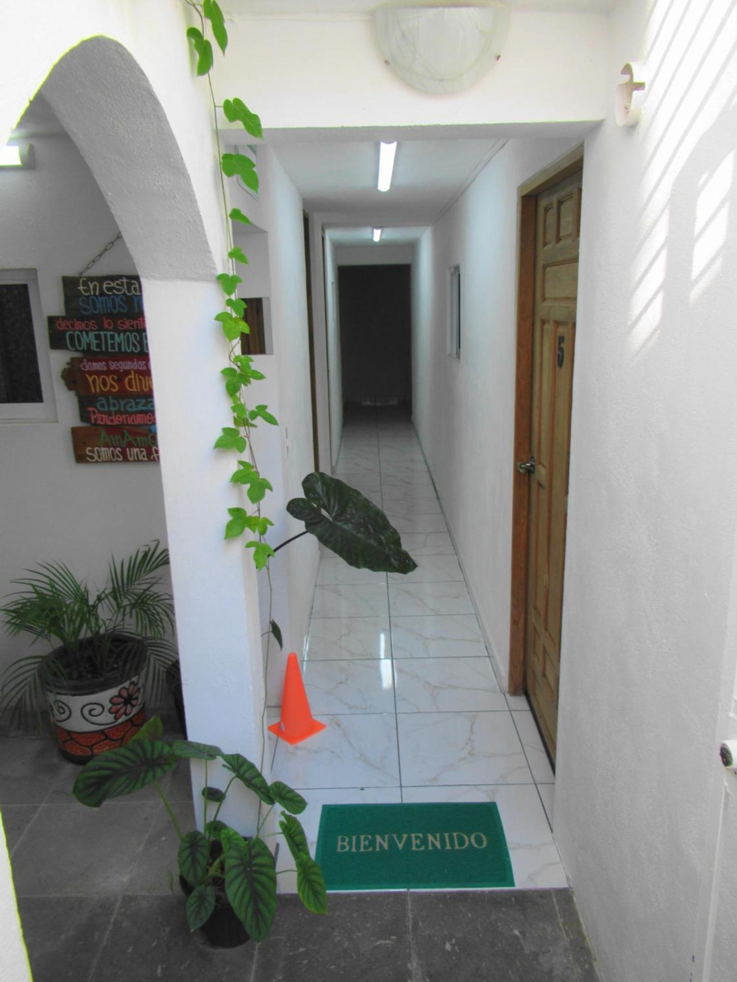 Cocos Apartment Cancún Exterior foto